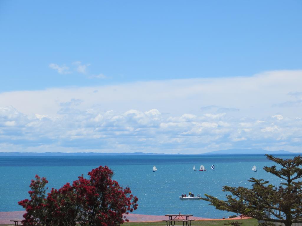 Harbour View Seaside Accommodation Napier Exterior photo