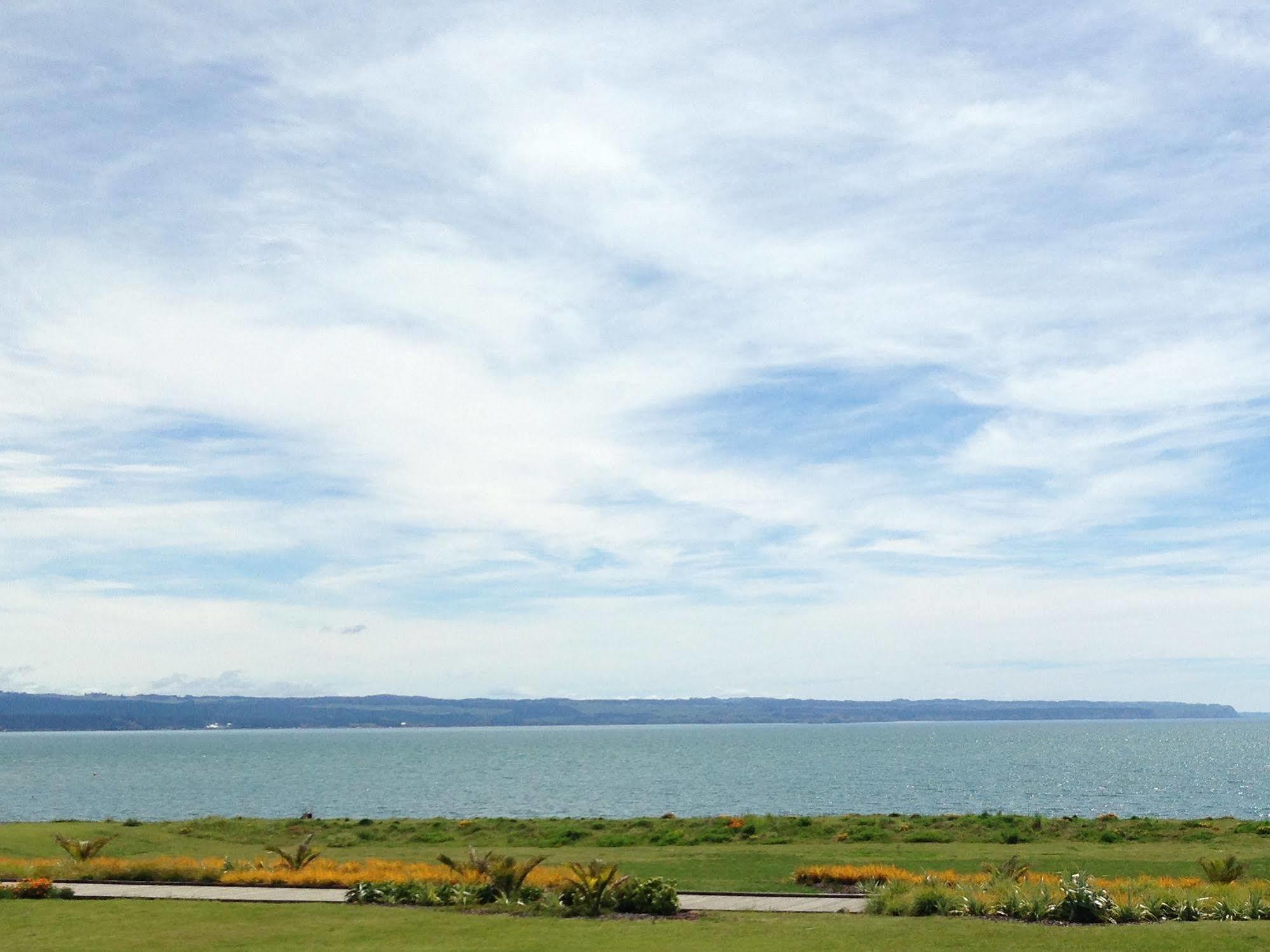 Harbour View Seaside Accommodation Napier Exterior photo